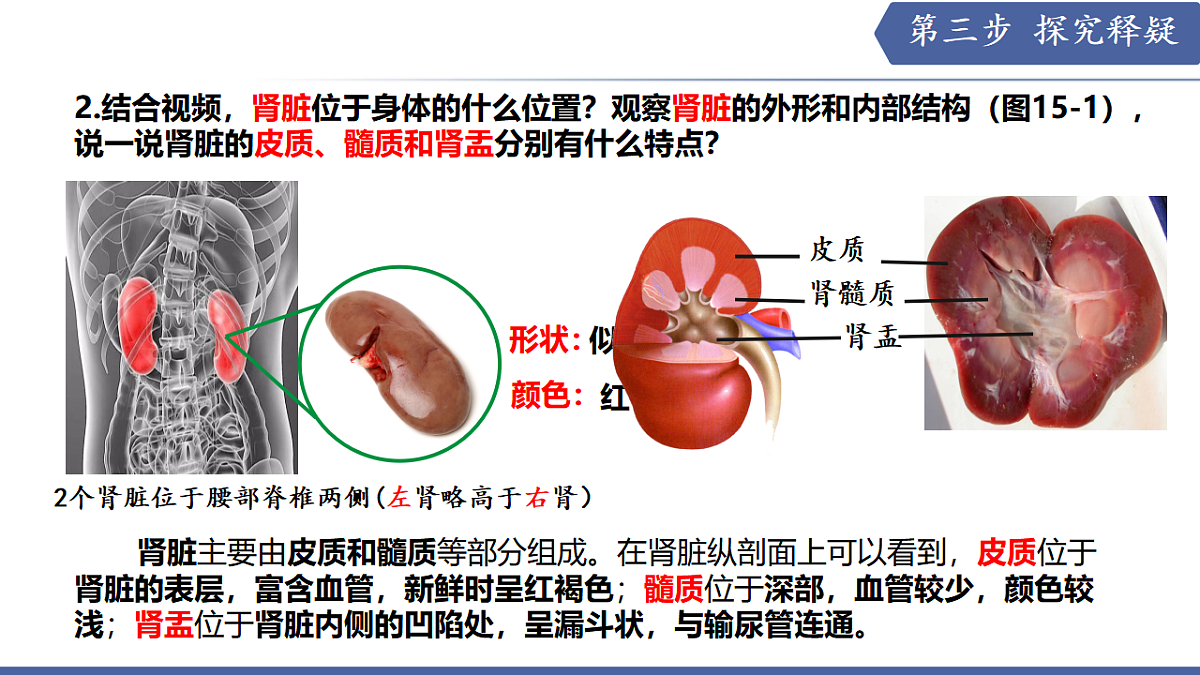 17580845第7页