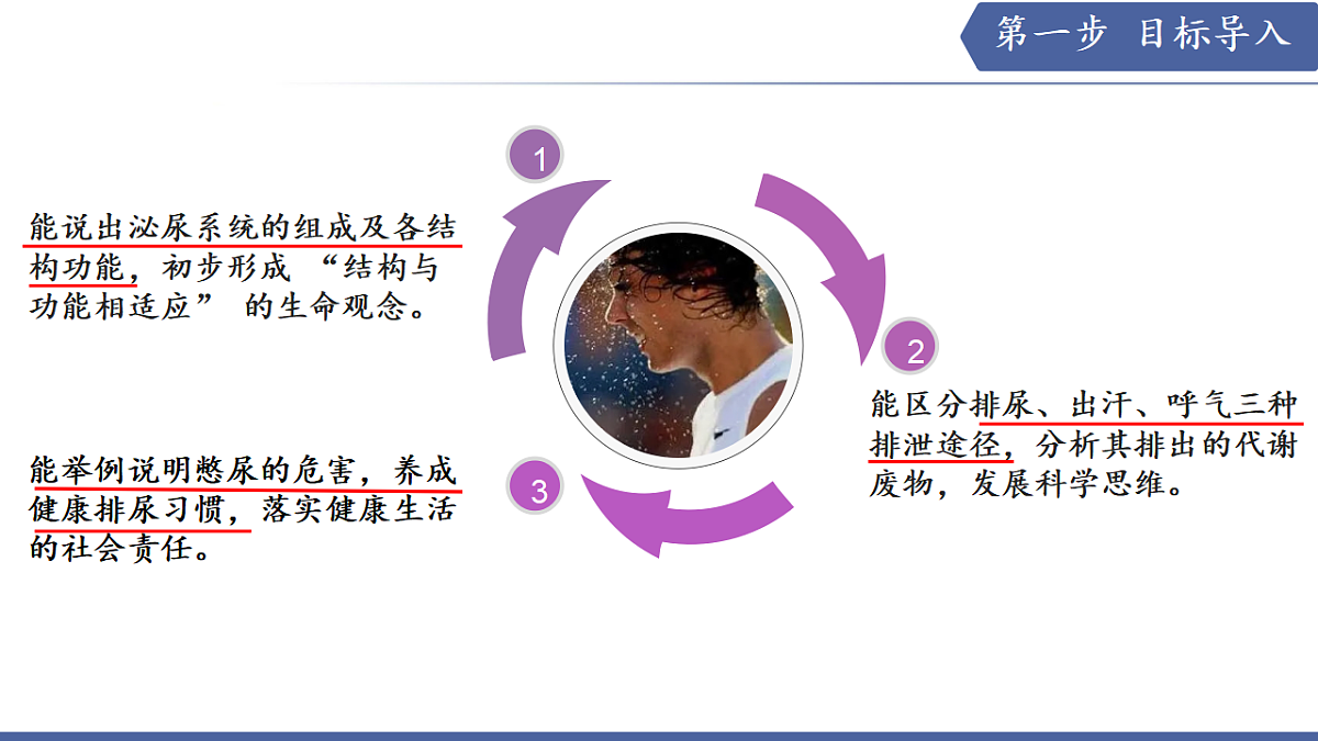 17580846第3页