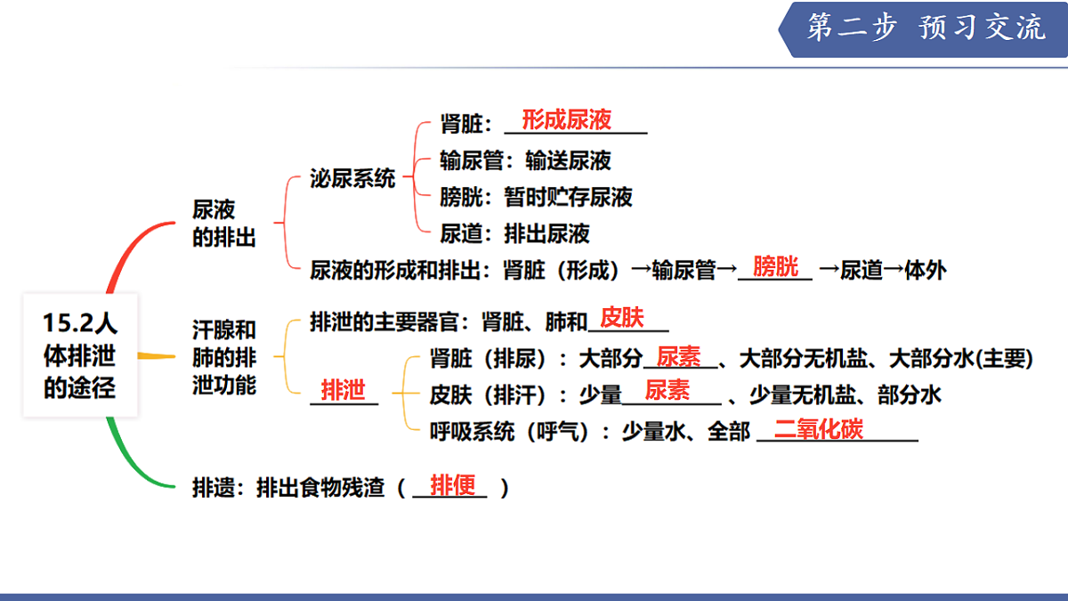 17580846第4页