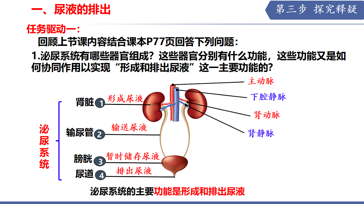 17580846第5页