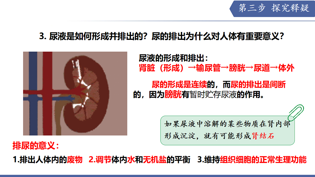 17580846第7页