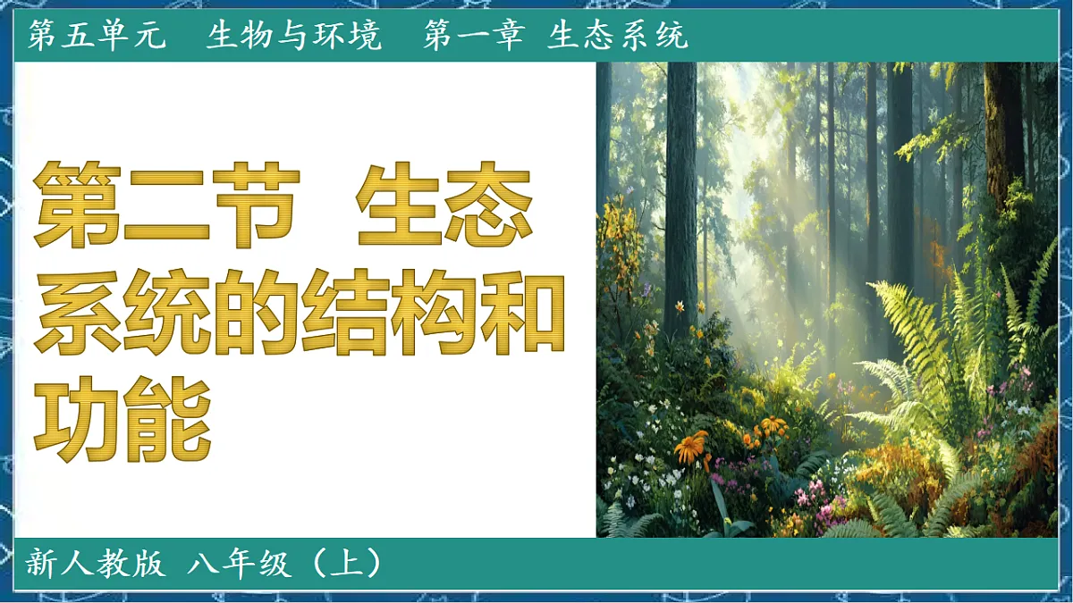 5.1.2 生态系统的结构和功能第1页