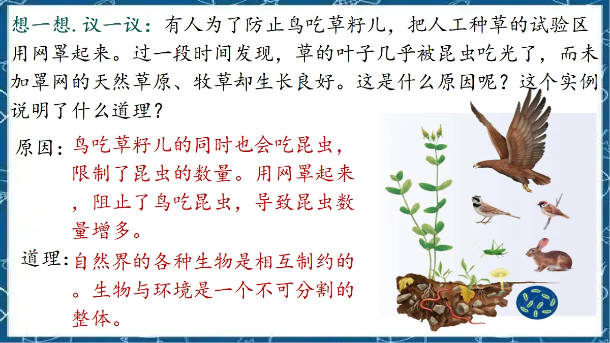 5.1.2 生态系统的结构和功能第2页