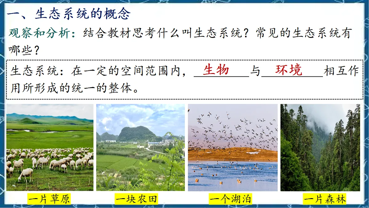 5.1.2 生态系统的结构和功能第3页