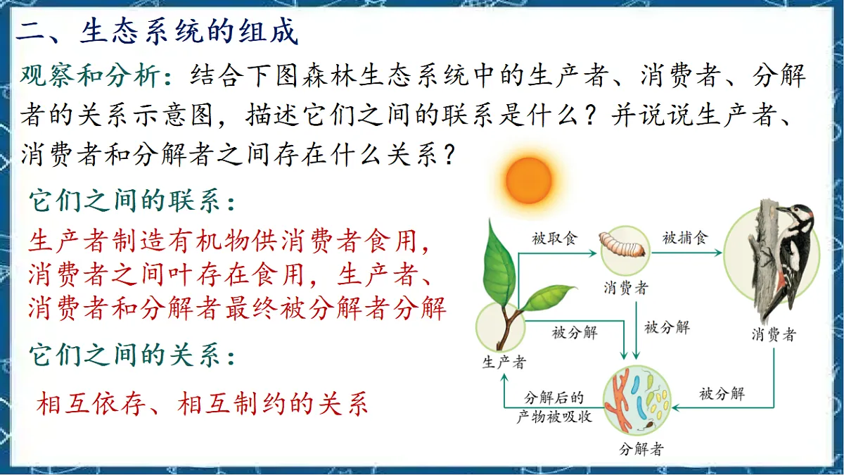 5.1.2 生态系统的结构和功能第7页