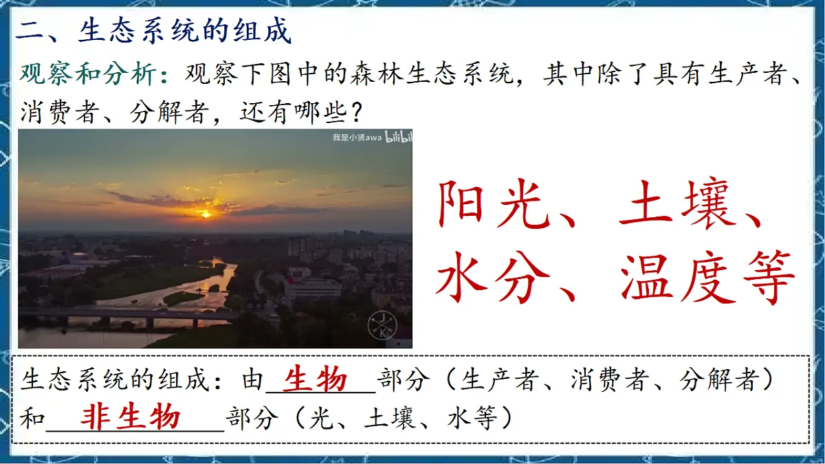 5.1.2 生态系统的结构和功能第8页