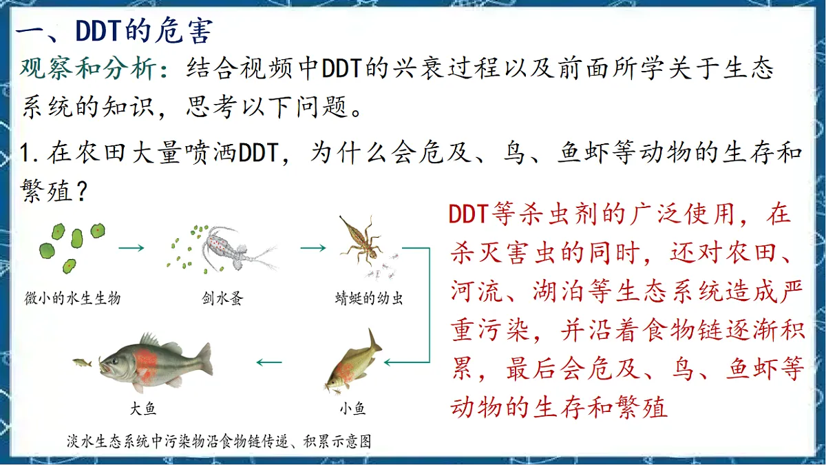 5.2.1 分析人类活动对生态环境的影响第3页