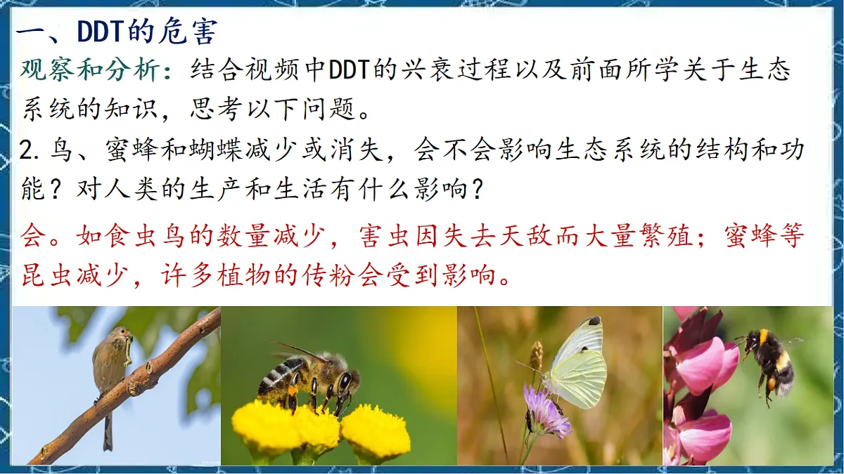 5.2.1 分析人类活动对生态环境的影响第4页