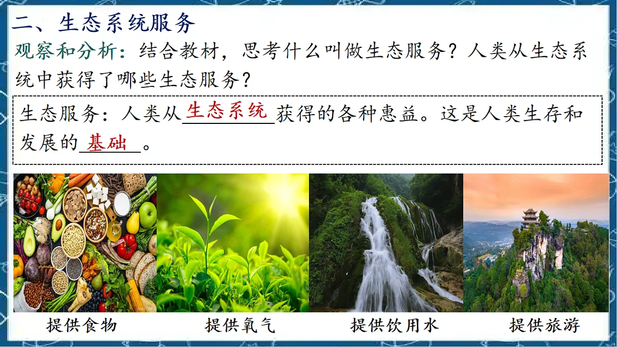 5.2.1 分析人类活动对生态环境的影响第5页