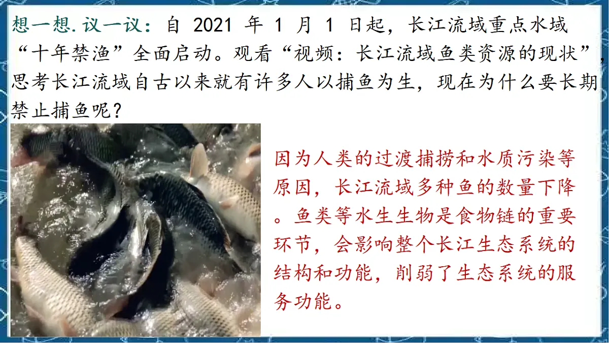 17580929第2页
