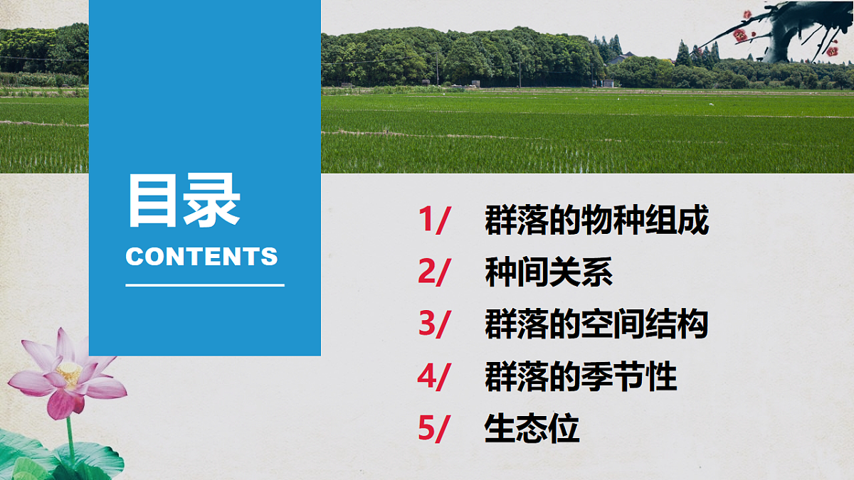 17581322第8页