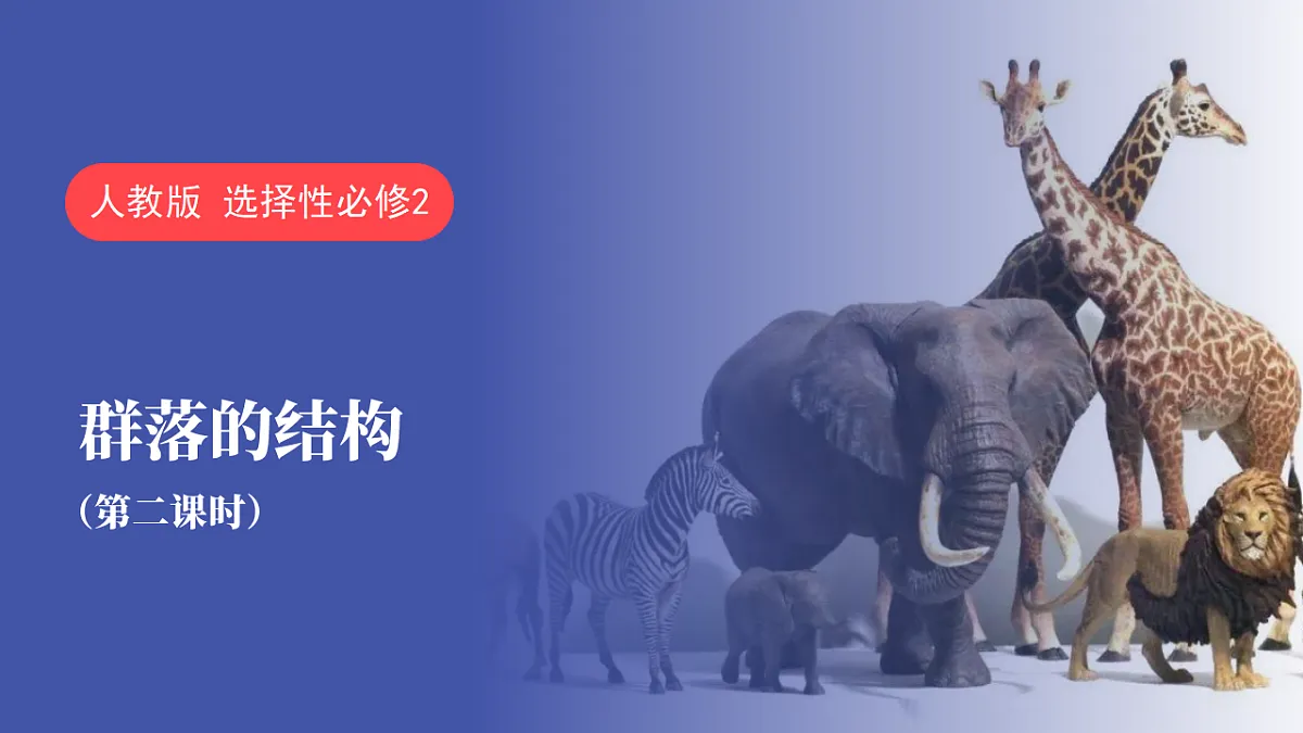 17581323第1页