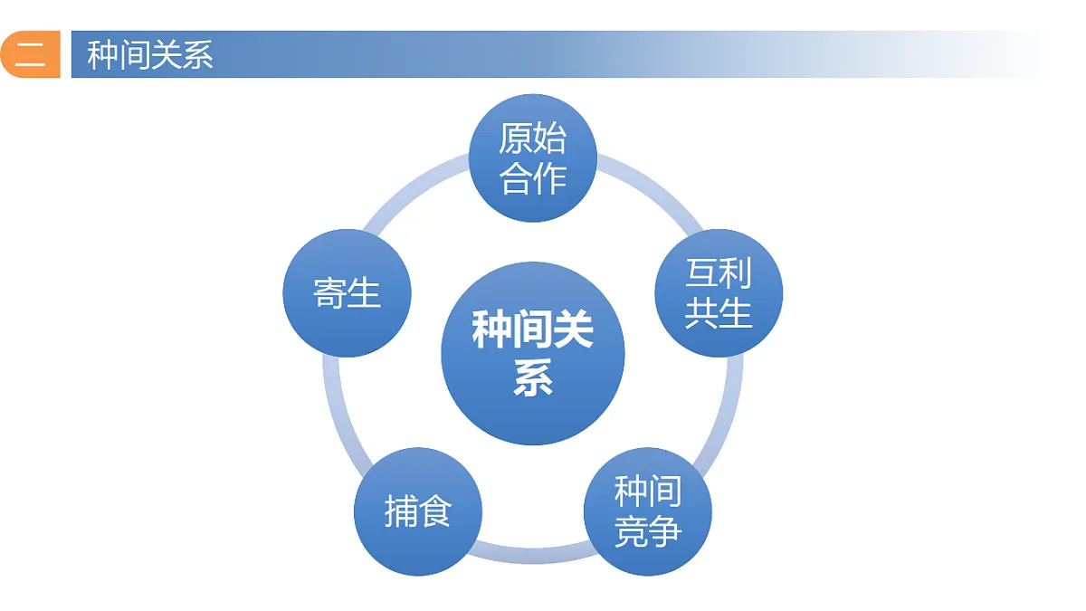 17581323第2页