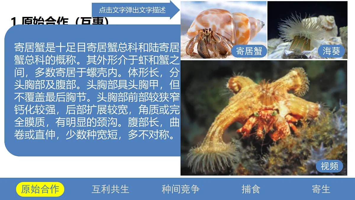 17581323第3页