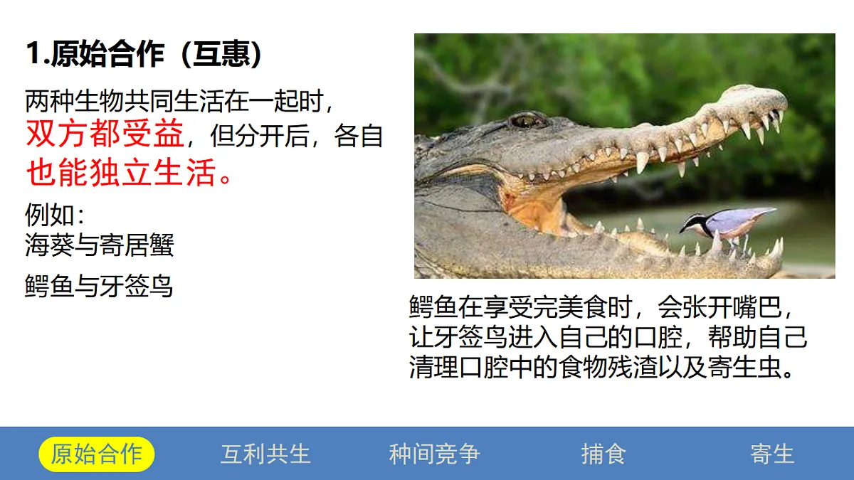 17581323第4页