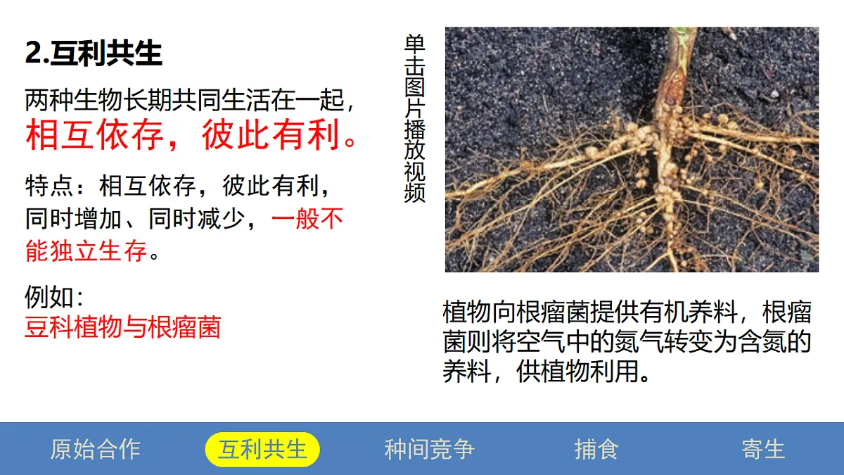 17581323第5页