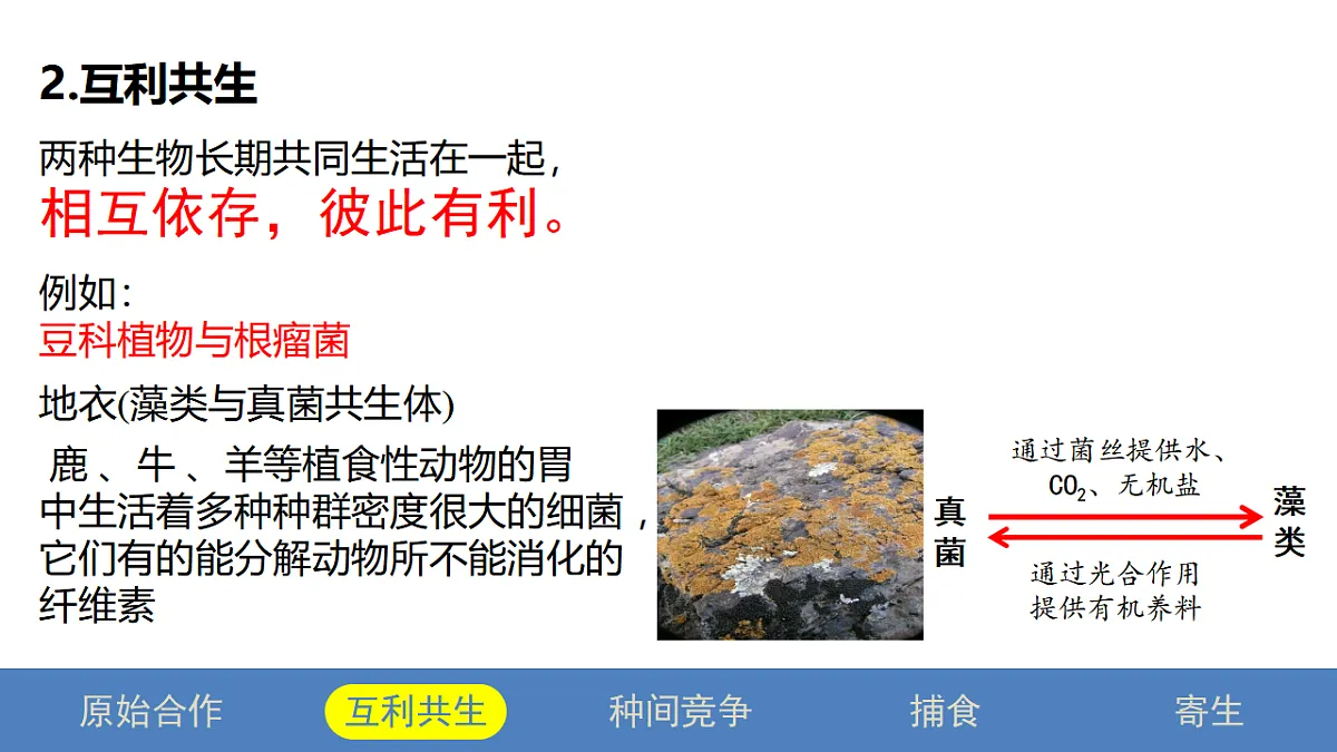 17581323第6页