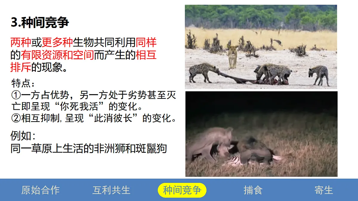 17581323第7页