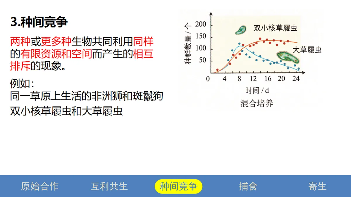 17581323第8页