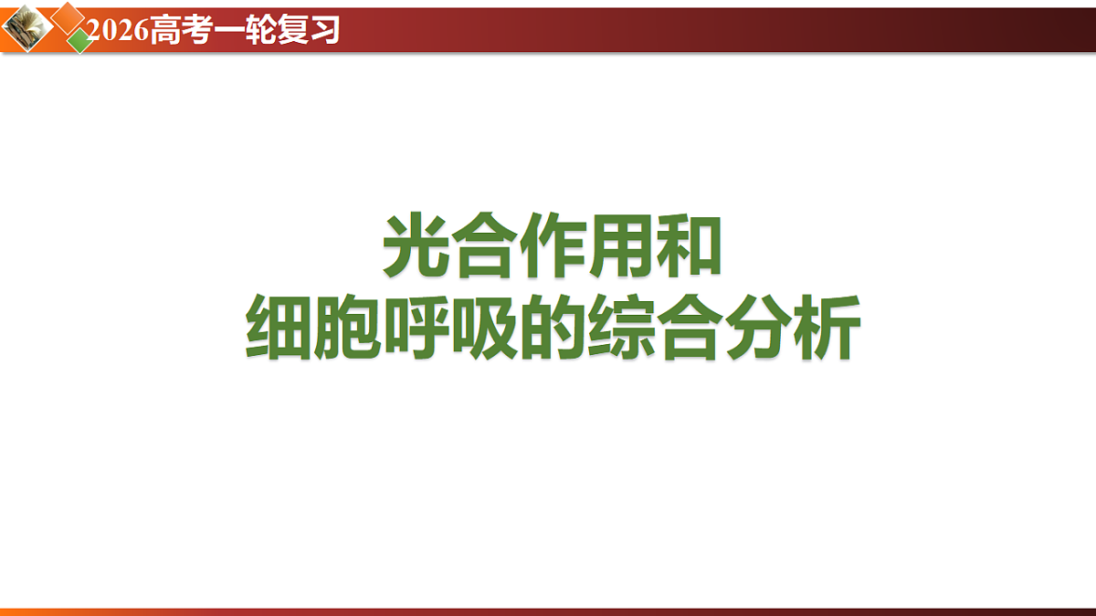 17581333第1页
