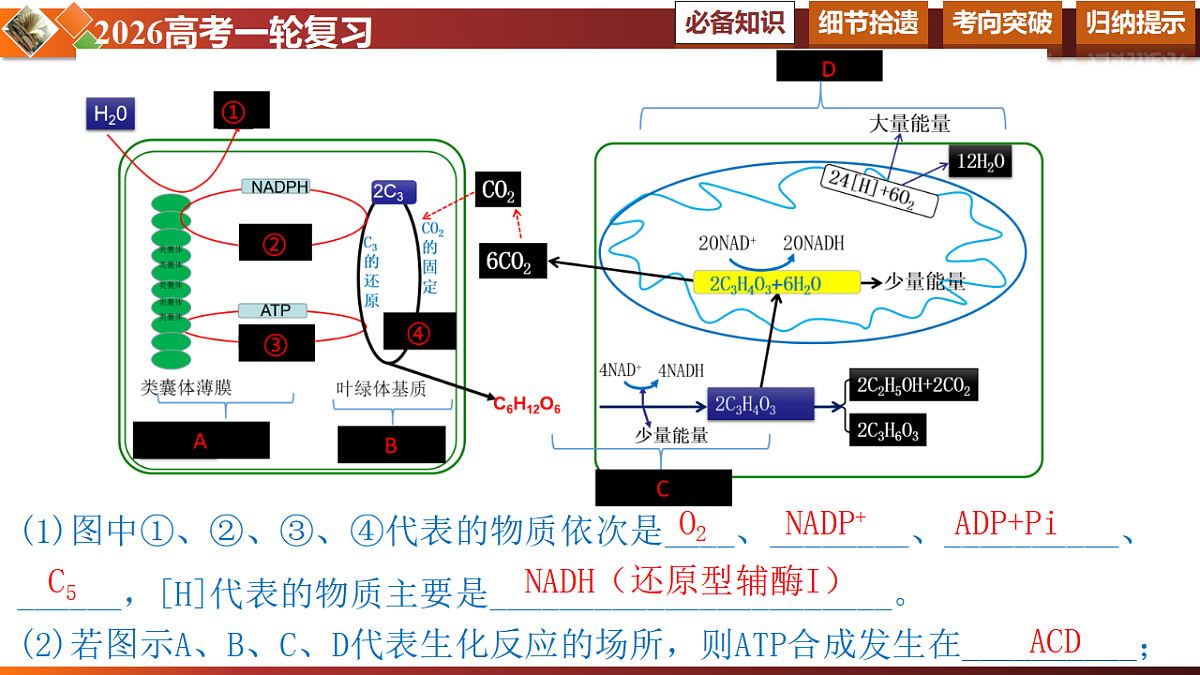 17581333第5页