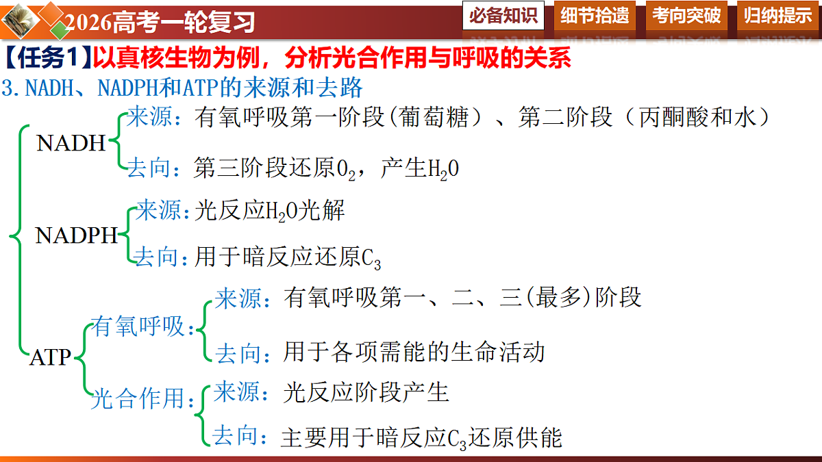 17581333第8页