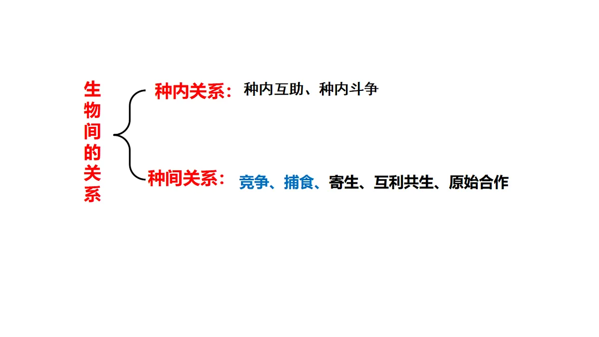 17581336第8页
