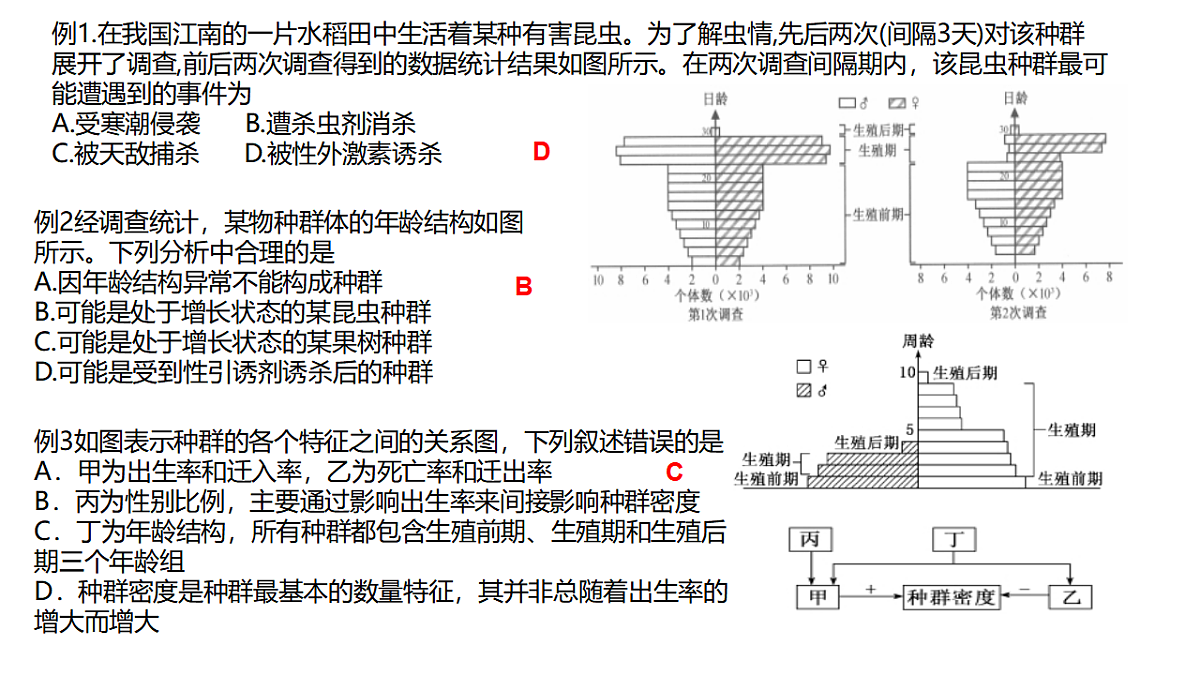 17581341第5页