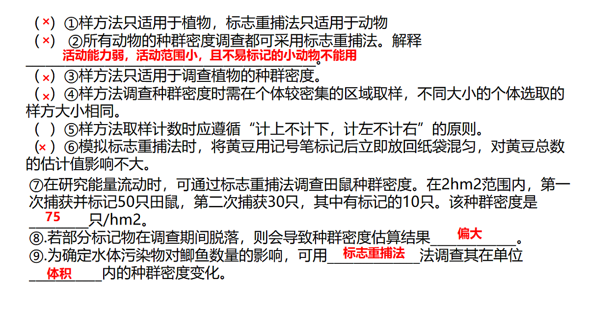 17581341第8页