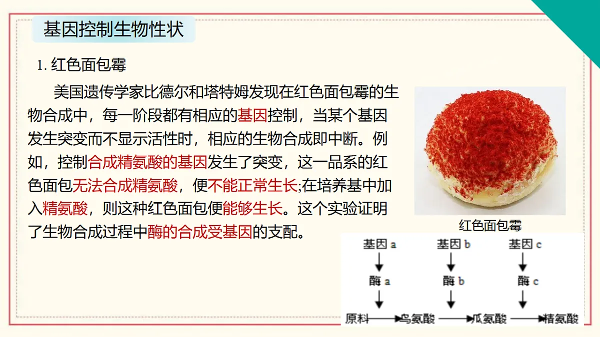 17581359第2页