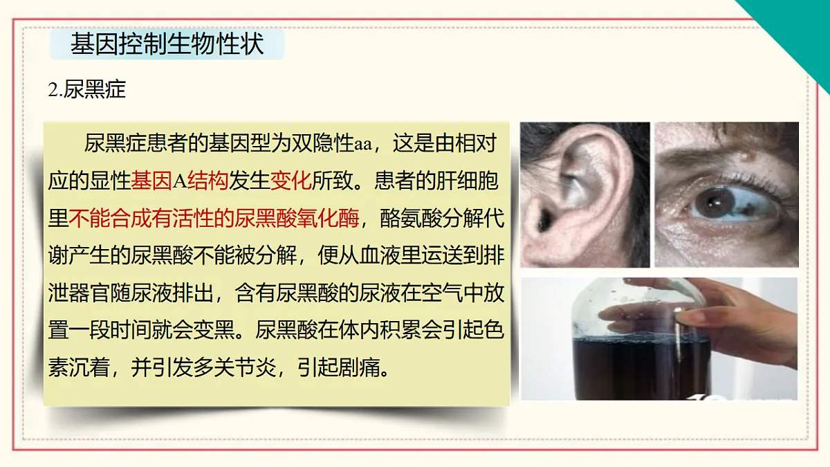 17581359第3页