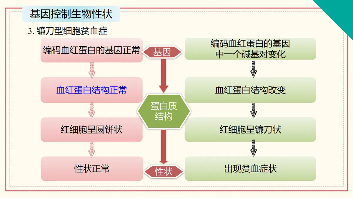 17581359第7页
