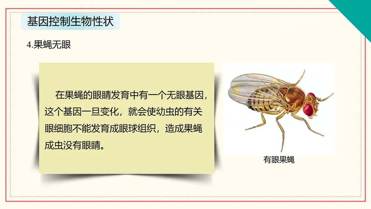 17581359第8页