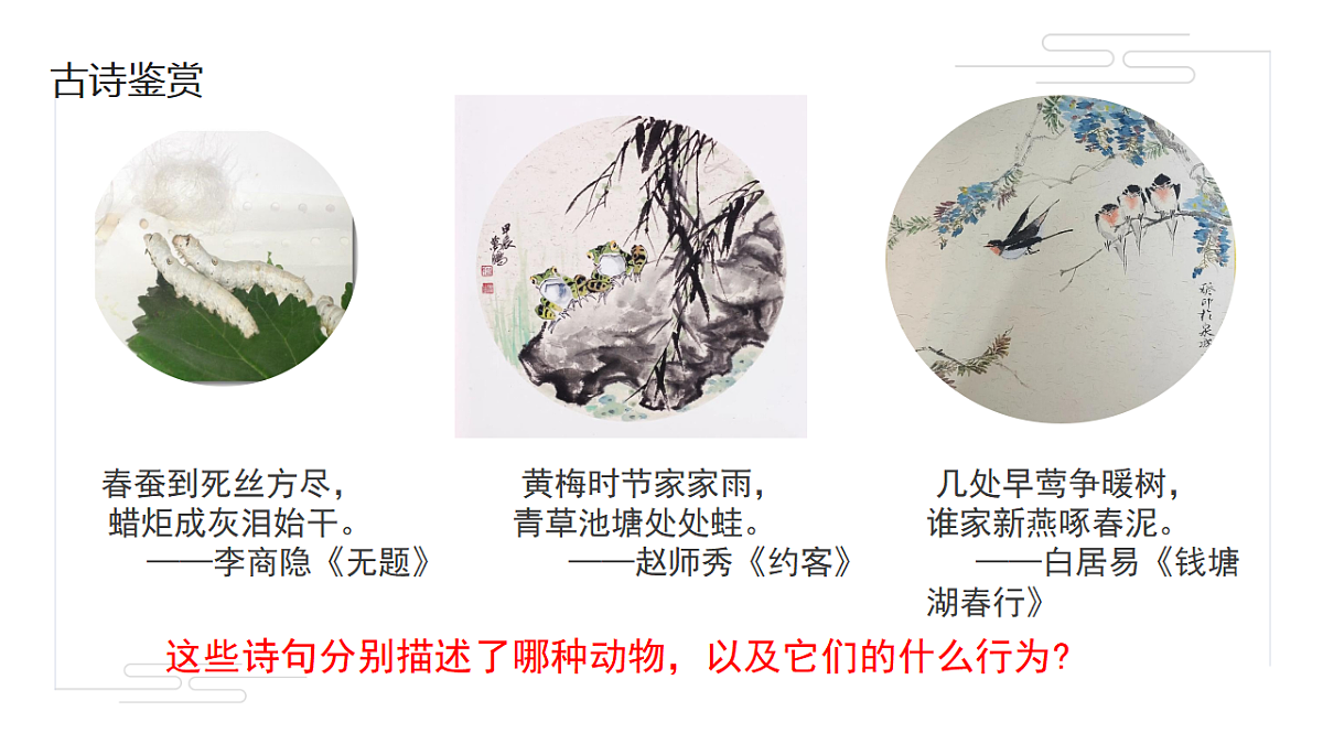 17581538第2页