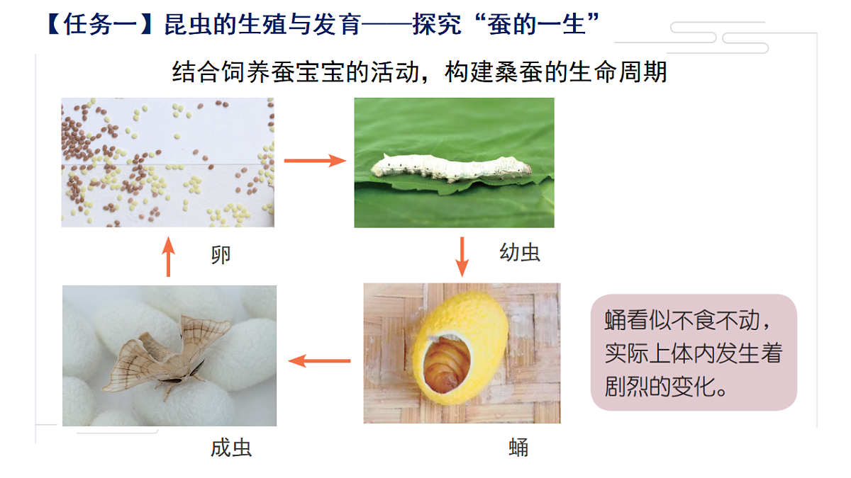 17581538第3页