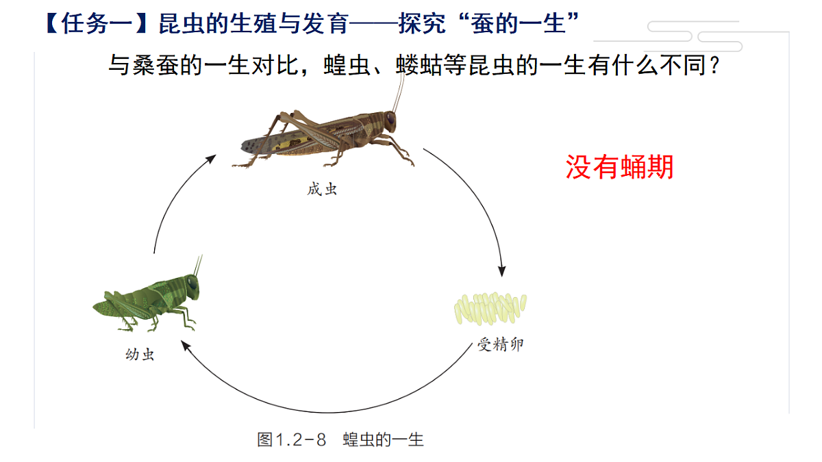 17581538第4页