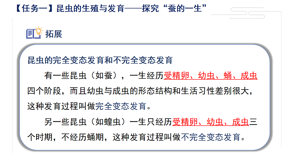 17581538第5页