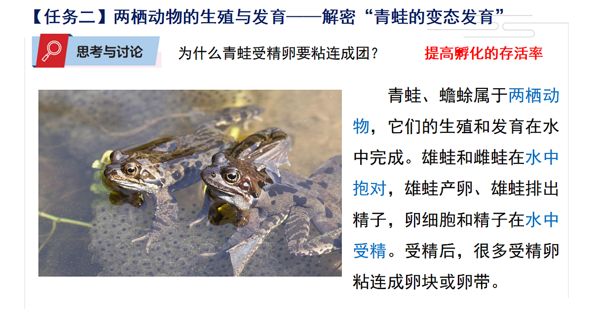 17581538第7页