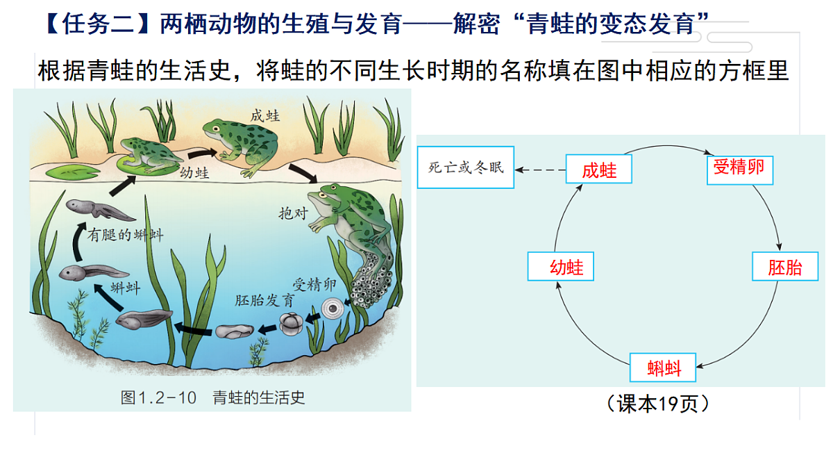 17581538第8页
