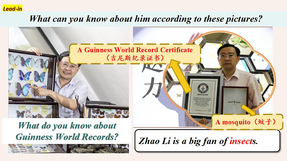 17581738第4页