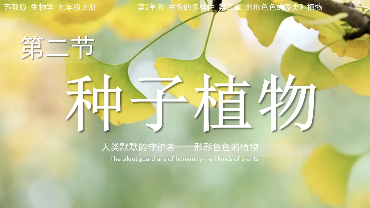 17584122第1页