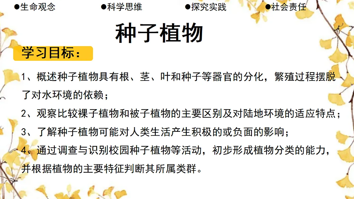 17584122第2页