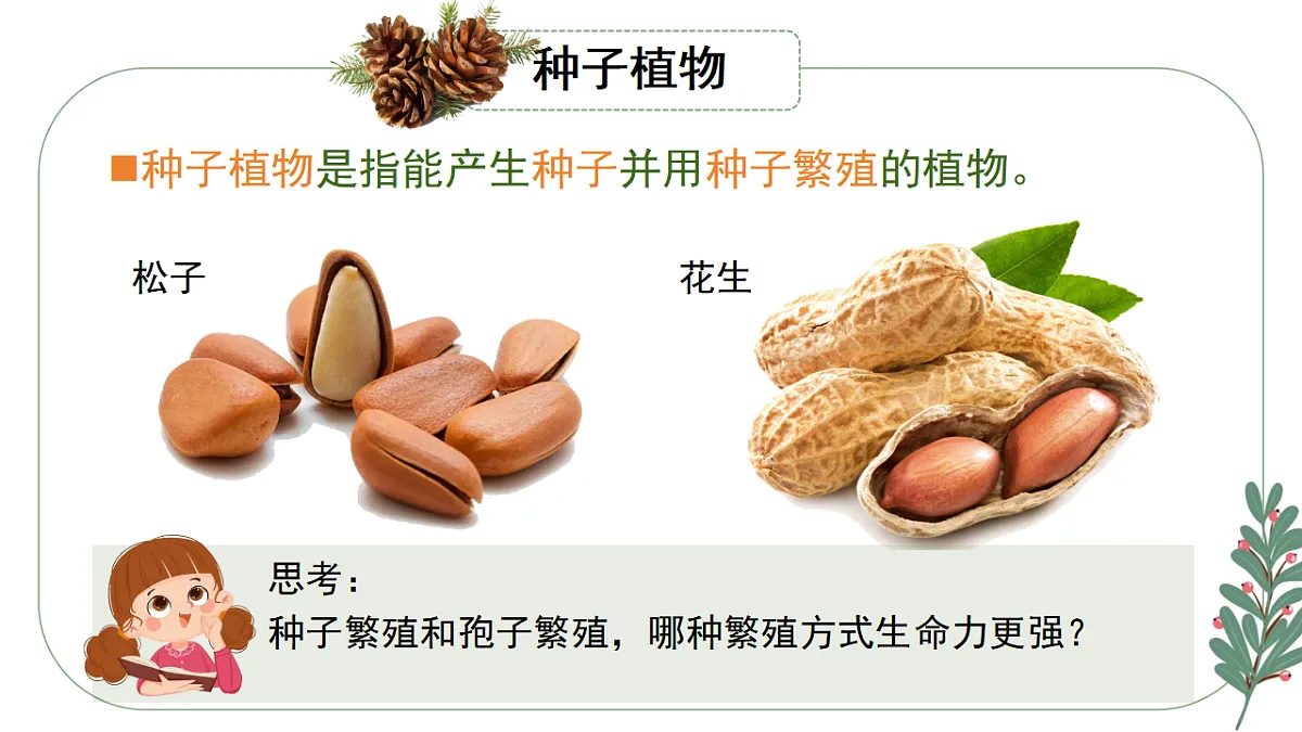 17584122第4页