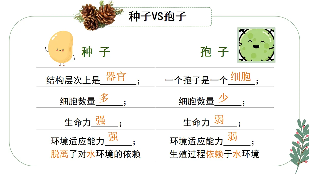 17584122第5页