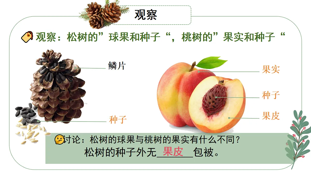 17584122第6页