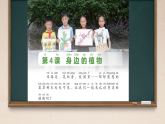第4课 身边的植物 课件 2025-2026学年科学一年级下册粤教粤科版