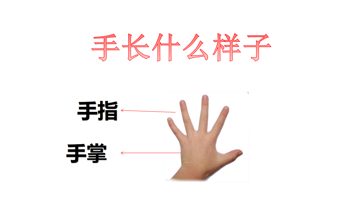 17584633第7页