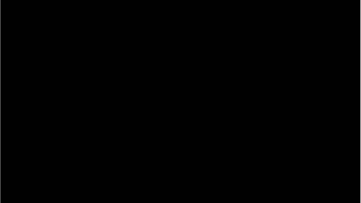 17584635第6页