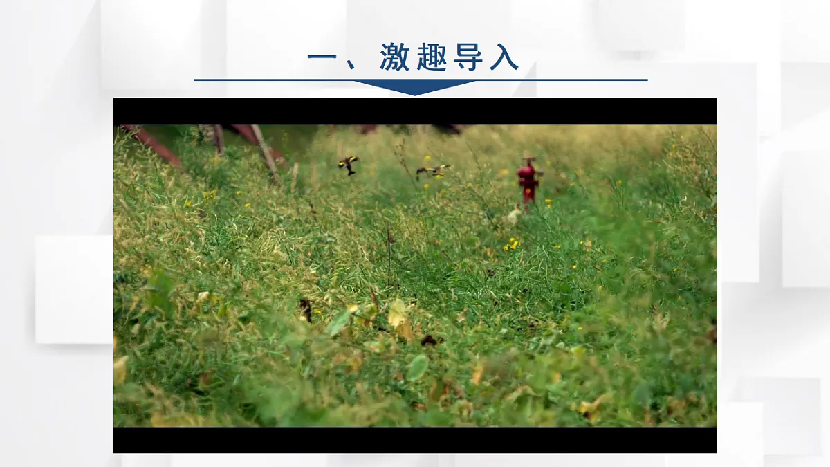 17584647第2页