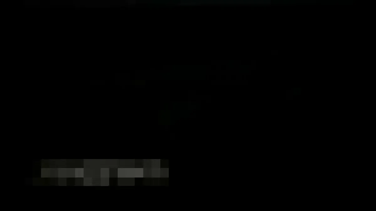 17584651第2页